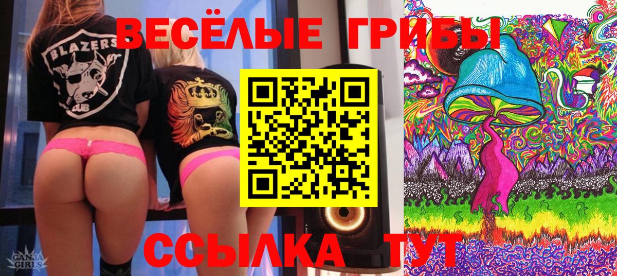 Красноармейск  Псилоцибиновые грибы ЛСД  Вход с VPN 